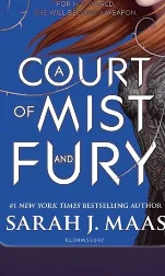A Court of Mist and Fury by Sarah J. Maas
